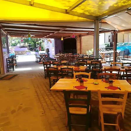 Campsite Elba Travels - *